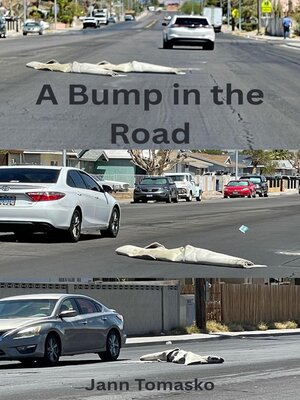 cover image of A Bump in the Road